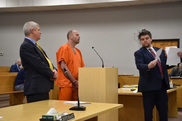 Stella pleads to sex charge