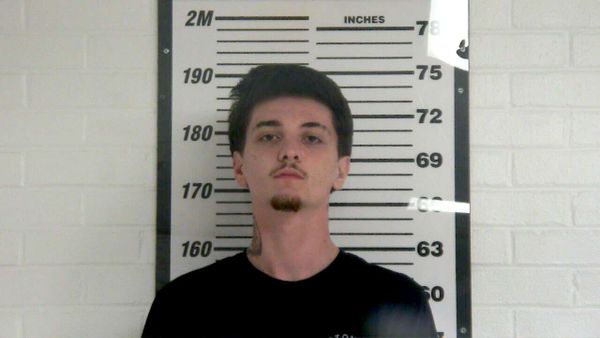 Davis jailed for multiple counts