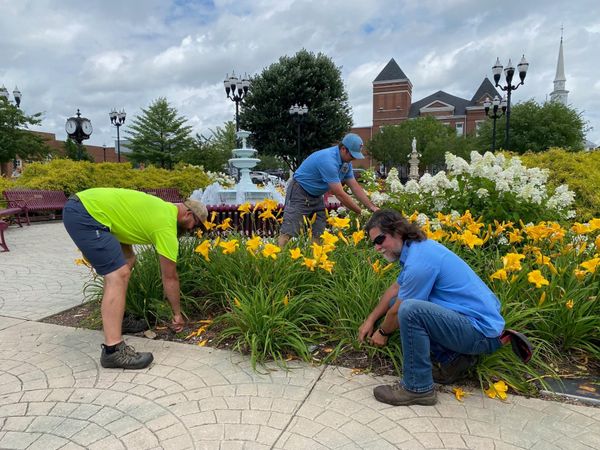 Activity under our feet