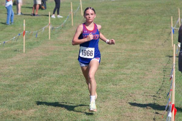 Woodlee wins inaugural Tree City Invitational