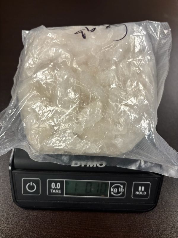 Major meth mule busted