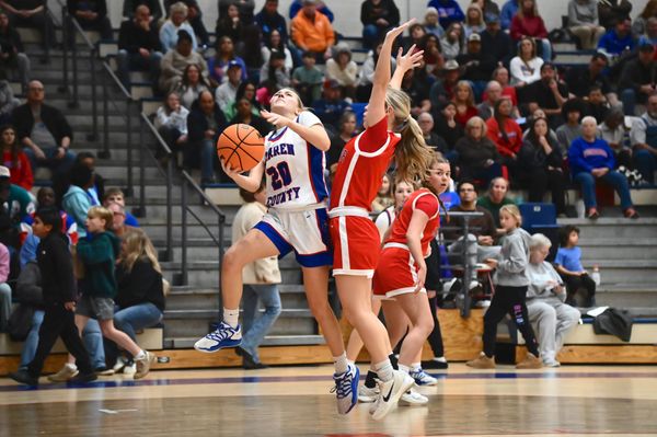 Flightless in Fayetteville