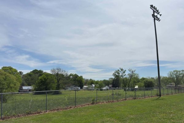 Wetland project takes shape