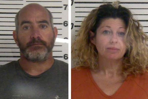 Multiple drugs found at Viola home