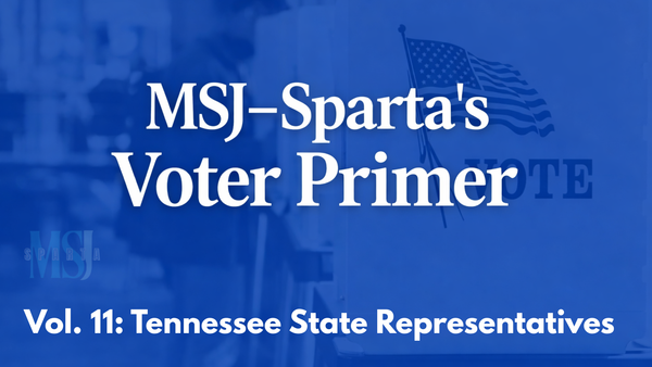 Voter Primer: What a Tennessee State Representative Does (and does not do)