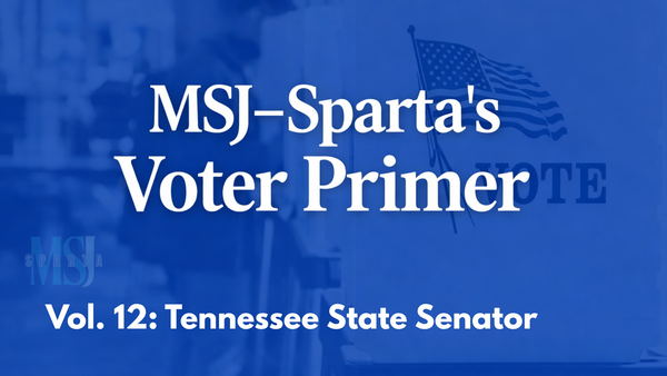 Voter Primer: What a Tennessee State Senator Does (and does not do)