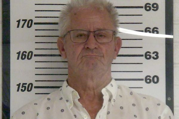 Young facing domestic assault, resisting arrest charges