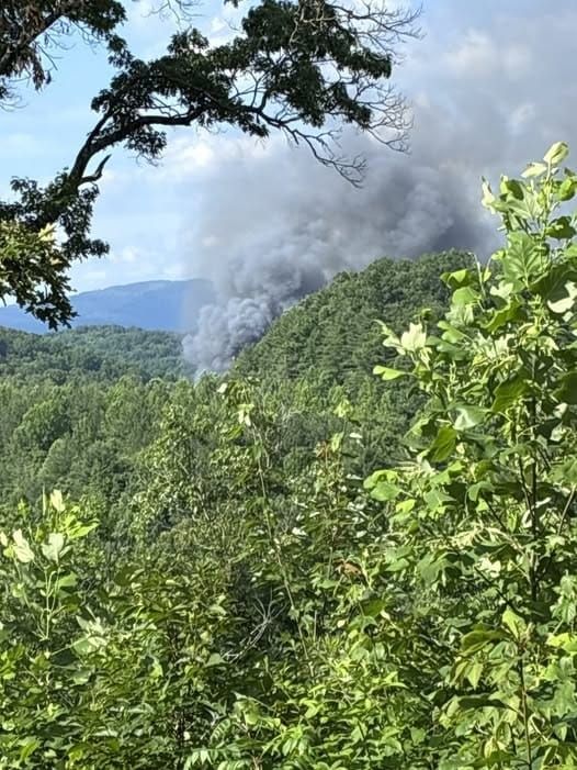 Dead Fish Found in Emory River Weeks After Morgan County Train Derailment