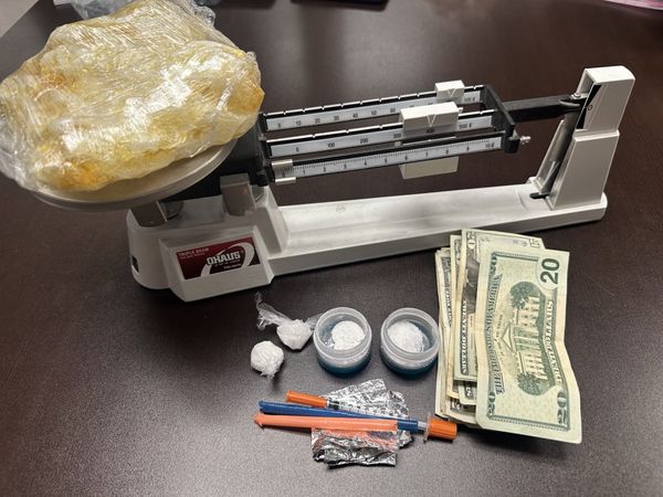 Over 1 pound of drugs seized from Nashville couple