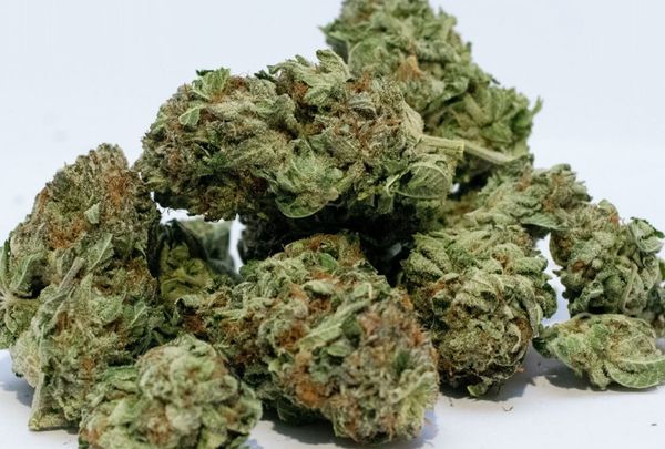 Police Seize Drugs After a Suspicious Person Investigation