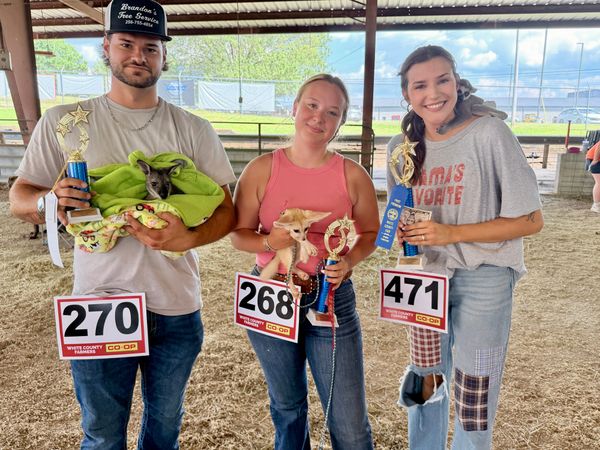 PHOTOS: Tails, scales and more at the White County Fair