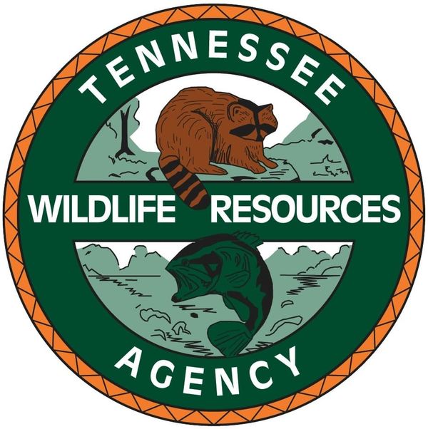 Squirrel Season Opens  Saturday, Free Hunting Day August 22, 2026