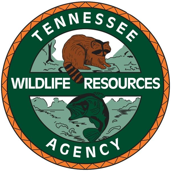 Leftover 2026 WMA Hunt, Waterfowl Blind Permits Available