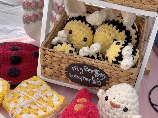 Hooked by Abby turns yarn into a growing dream