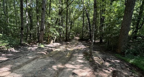 Road Use Designations Updated at Bledsoe State Forest