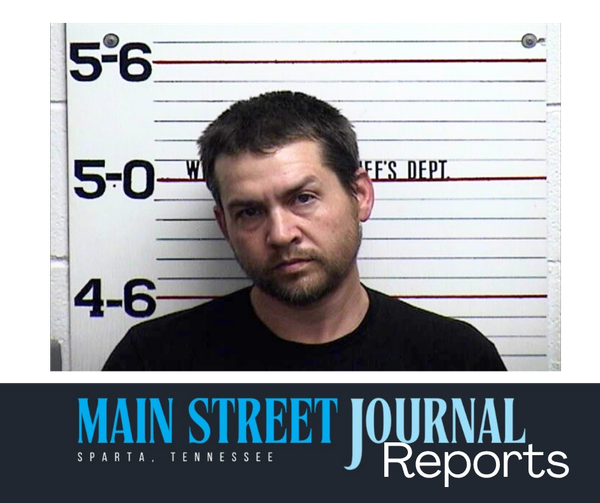 Dog incident, vehicle chase ends with guilty plea