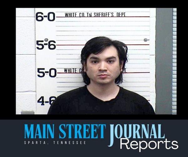Mailbox destruction lands driver in jail