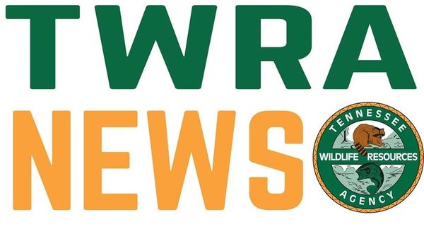 TWRA Reports No Boating-Related Fatalities Over 2026 Labor Day Weekend