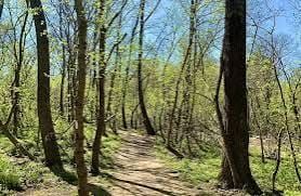 Sherrell announces $100K grant for Bigbee River Trail
