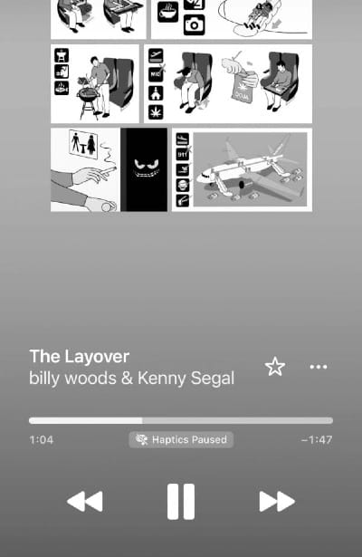 The Layover by billy woods and Kenny Segal