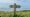 Being at cross-purposes
