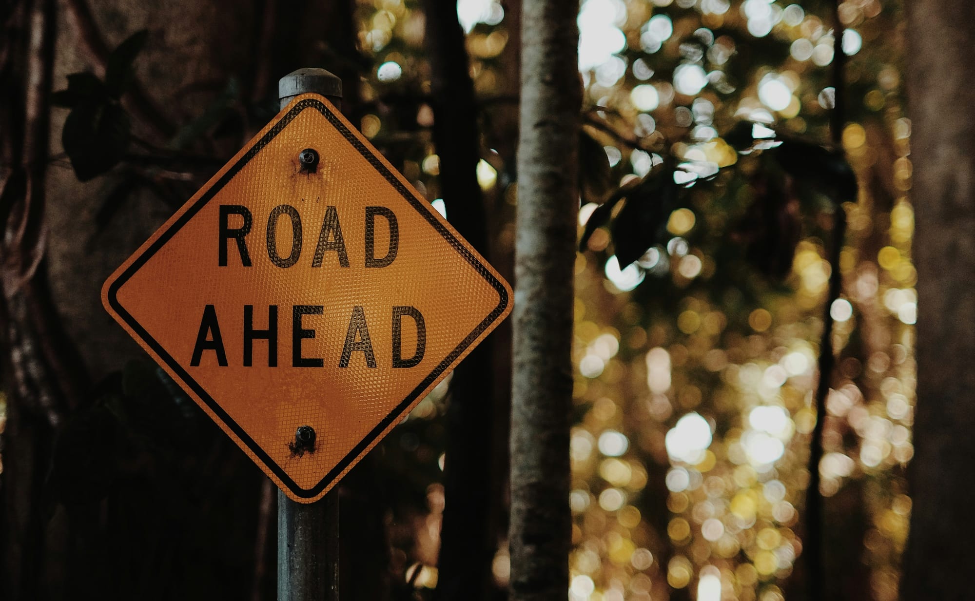 Pathway and road sign in nature, representing the future of digital equine education