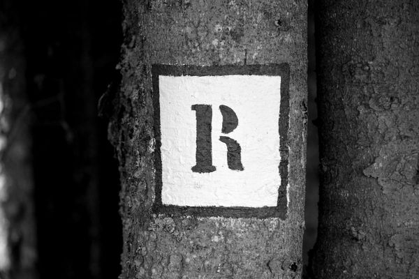 The R Score: Why Reputation Is a Position Brands Occupy, Not a Trait They Own