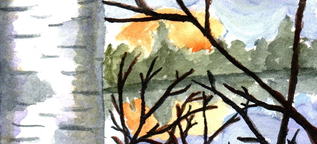 A watercolor painting of a birch tree by a lake with the sun setting behind some trees. 