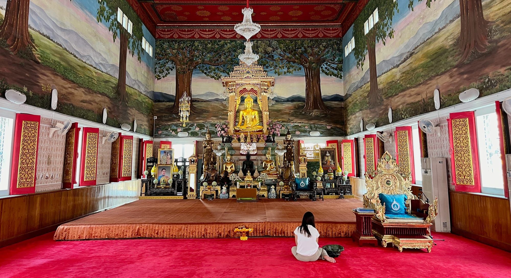 100 - A century already