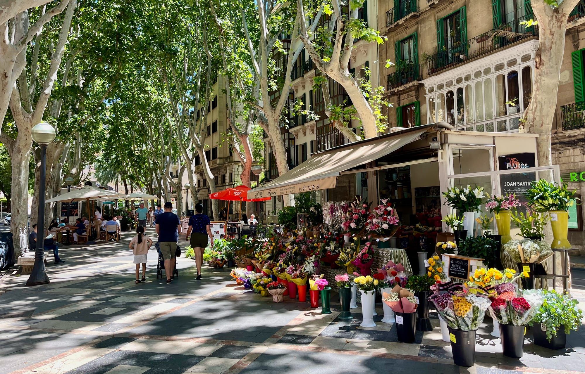 119 - June in the Mediterranean