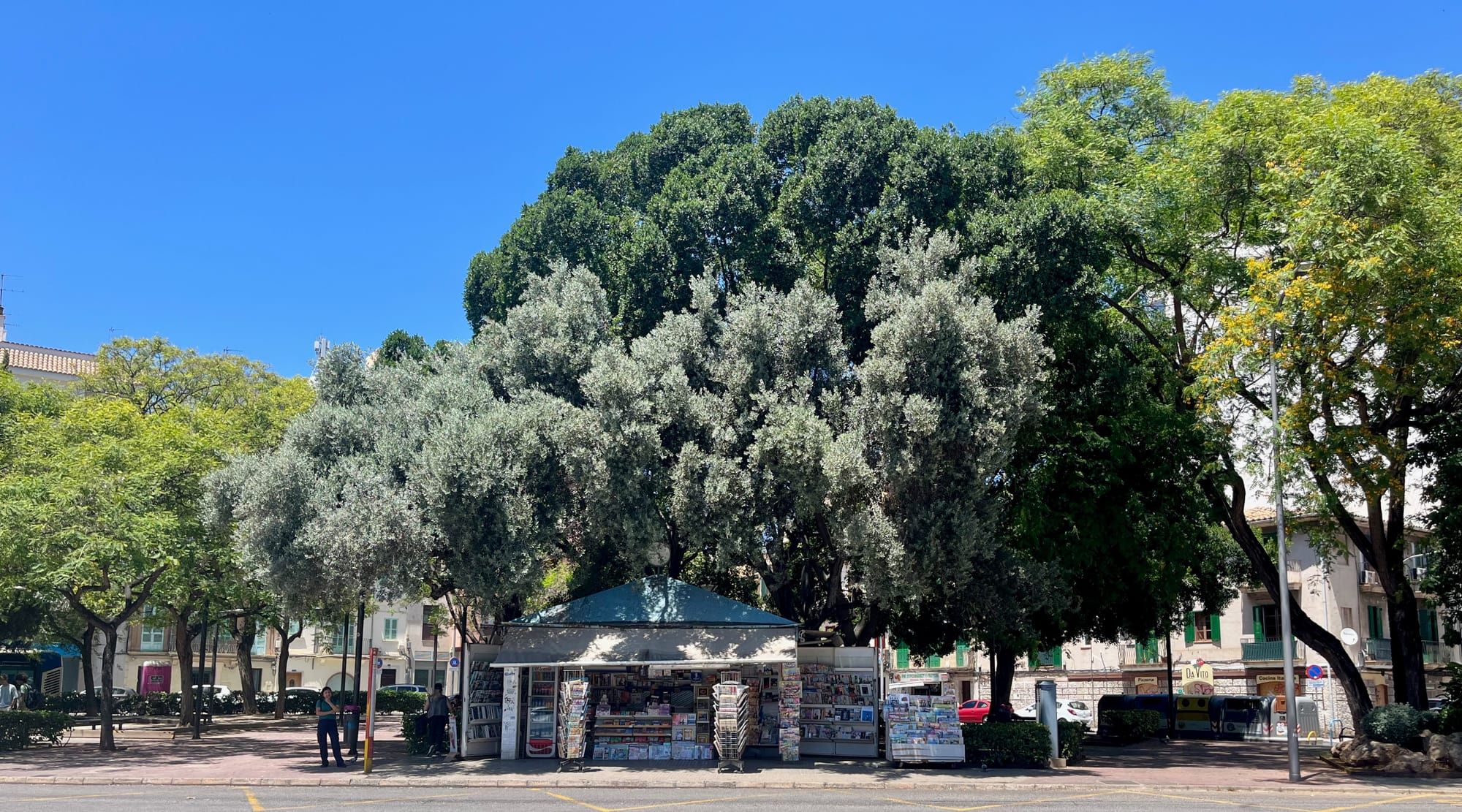 121 - Holiday reading