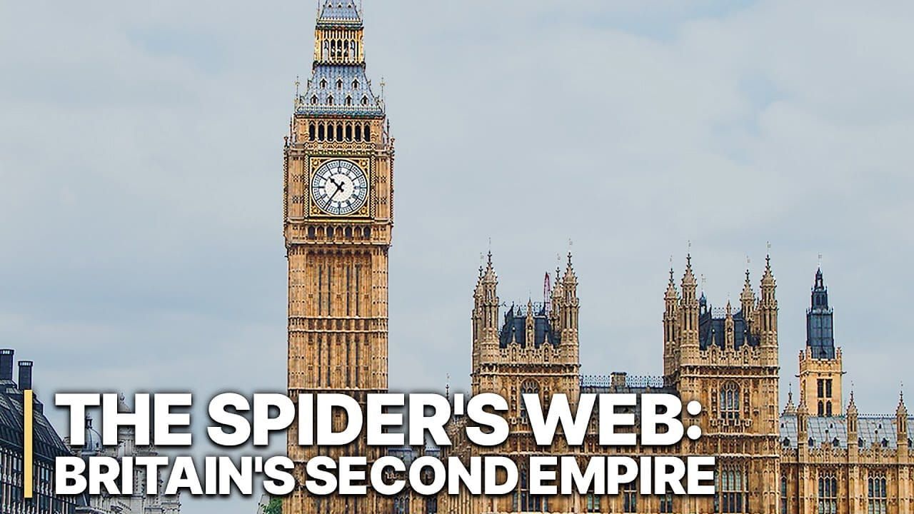 Spider's web