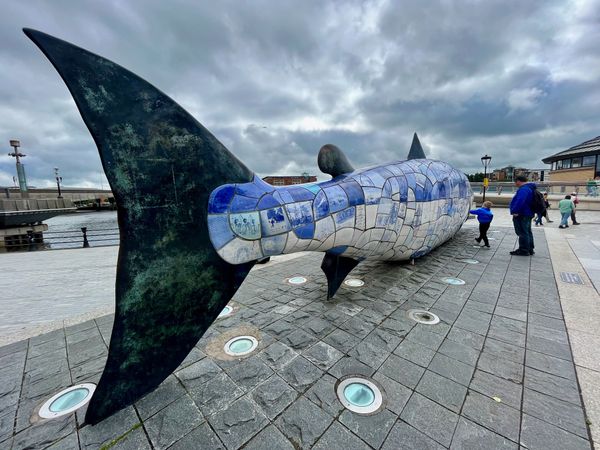 74 - Another year, another birthday