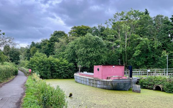 175 - Settling in for a bit