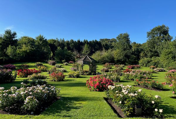 178 - Another birthday