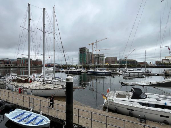 181 - Unveiling aplenty