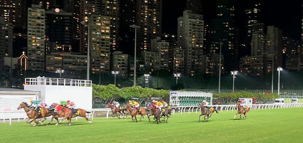 191 - Back in Hong Kong