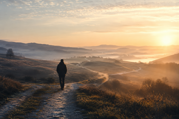 A solitary person walking through a quiet landscape at dawn, symbolising reflection, understanding, and a new perspective.