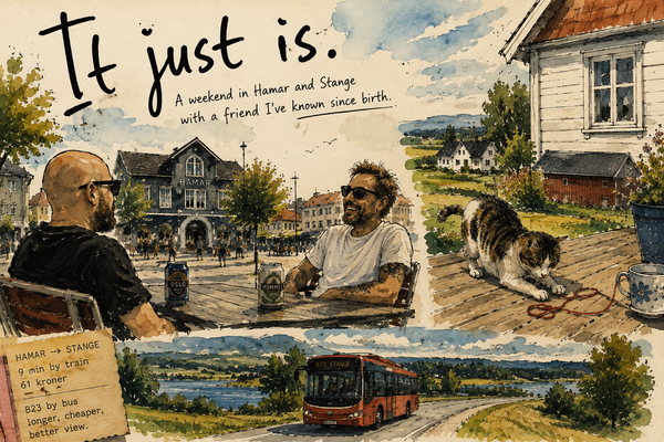 Watercolor-and-ink illustration of two friends sharing beers in Hamar, a cat playing with a red string on a rural porch, and a bus travelling through the Norwegian countryside.