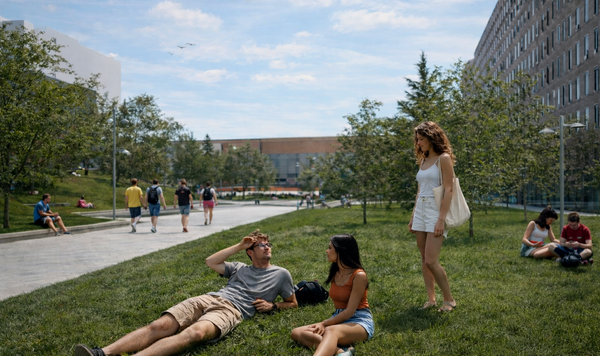 Un último paseo por la biblioteca (4)
