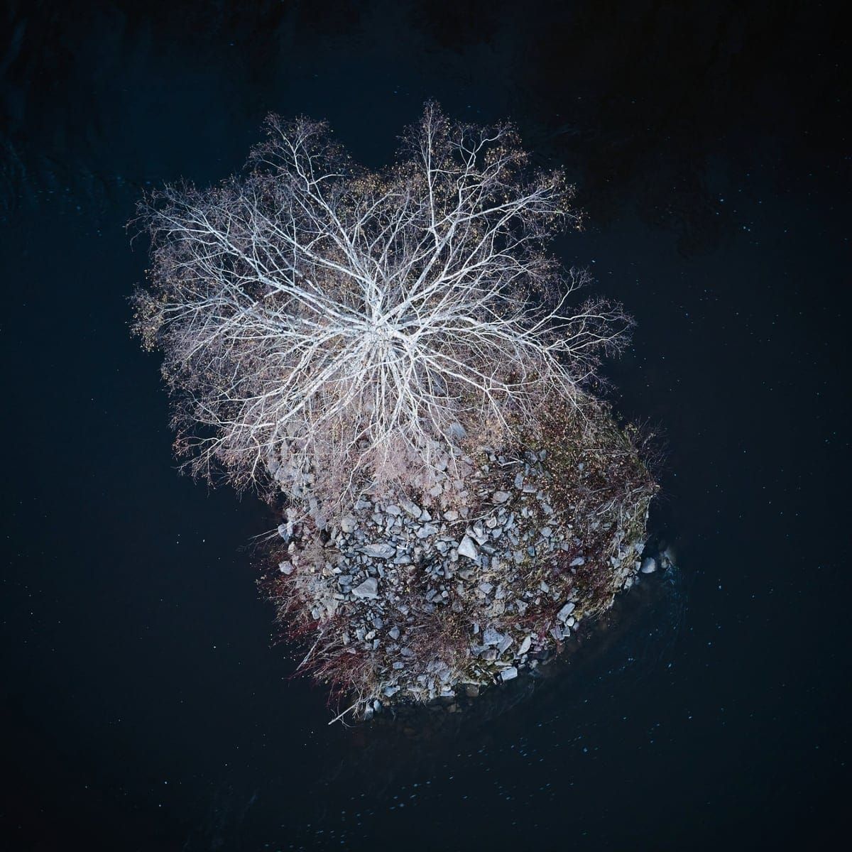 The dangers of our net zero obsession ⊗ The origins of AI’s ideological divide ⊗ Don’t call me an “urbanist”