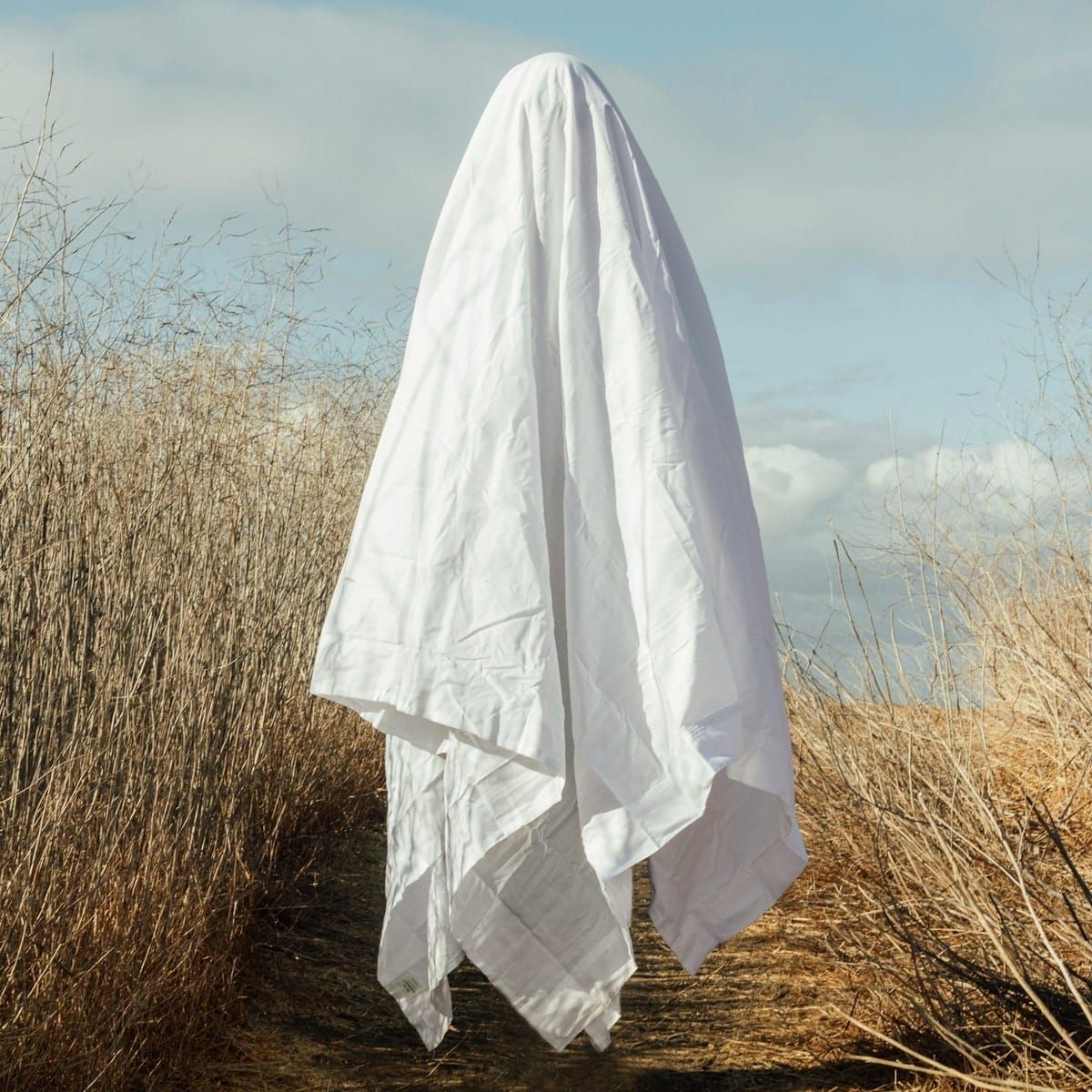 The state of the culture, 2024 ⊗ Stephenson’s most stunning prediction ⊗ Bringing in the rain