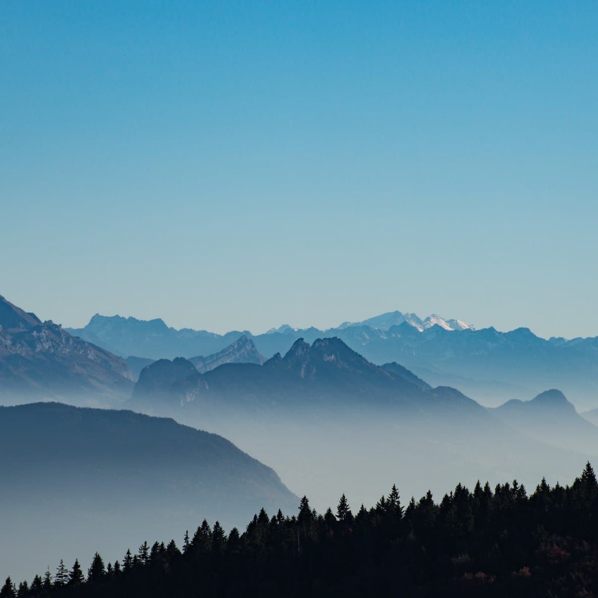 Your own transdisciplinarity