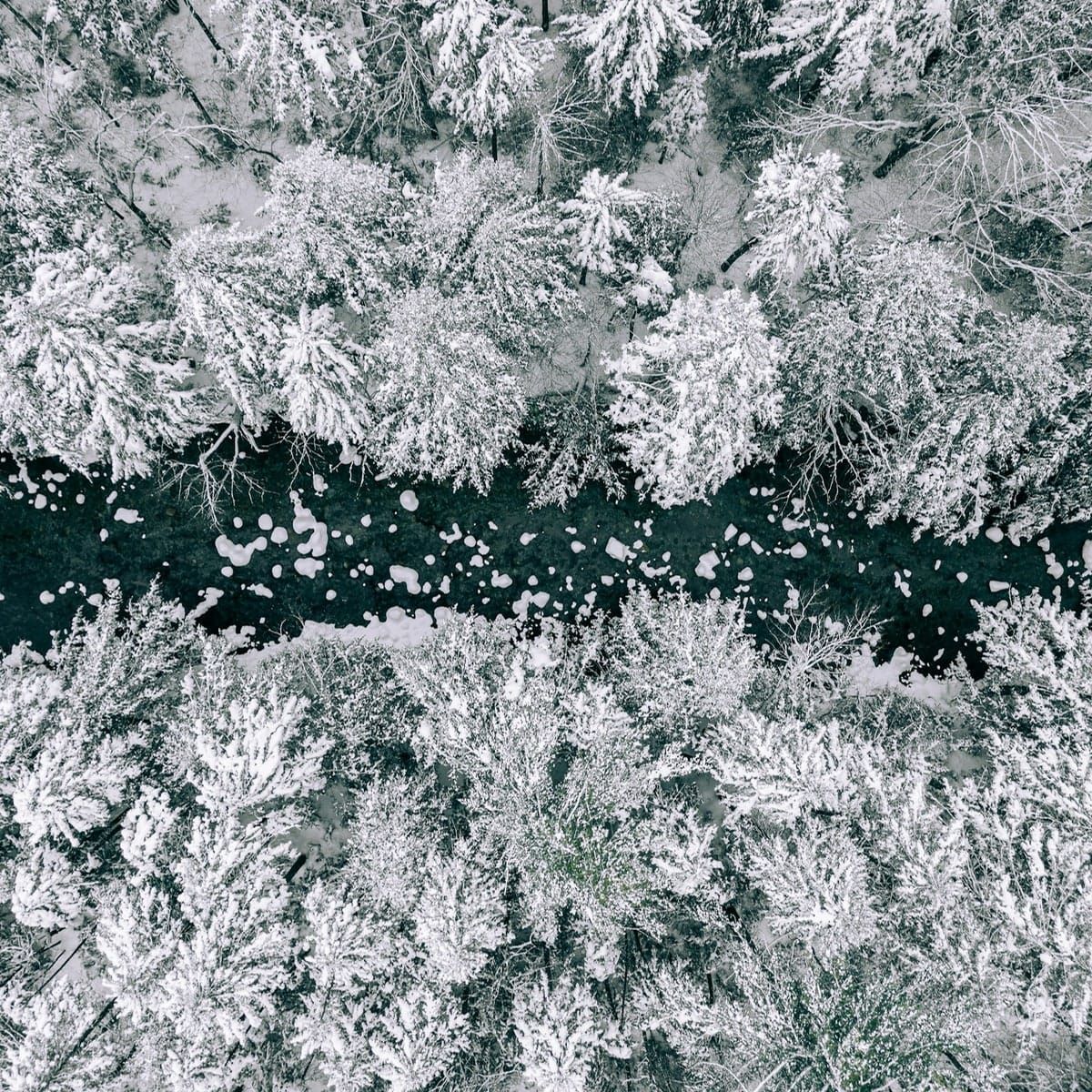 AI in 2026 and beyond ⊗ Bioregionalism’s tech-driven revival