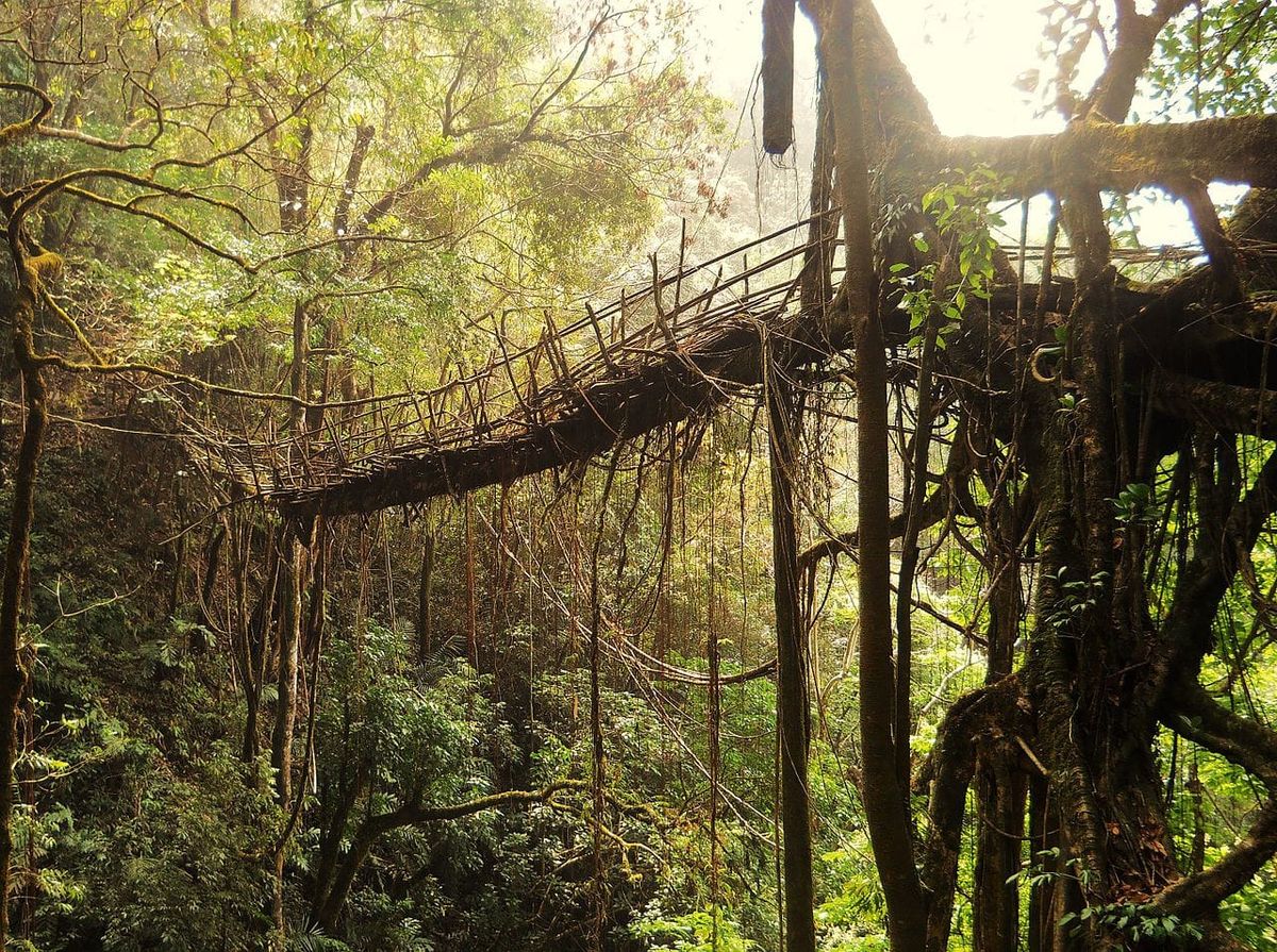 Open Climate now! ⊗ Thresholds of artificiality ⊗ Collapse, renewal and the rope of history
