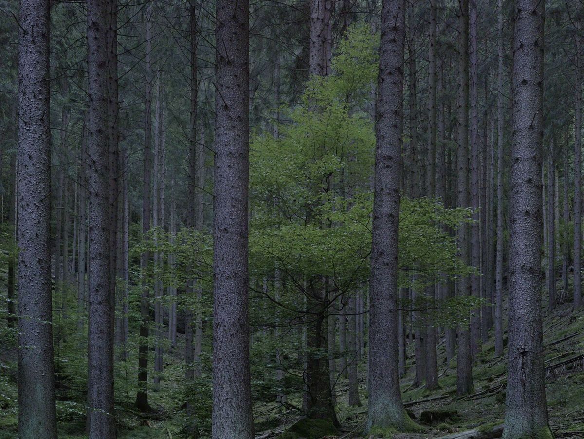 Left alone, together ⊗ The new frontier of belonging ⊗ Can speculative fiction teach us anything in a world this crazy?