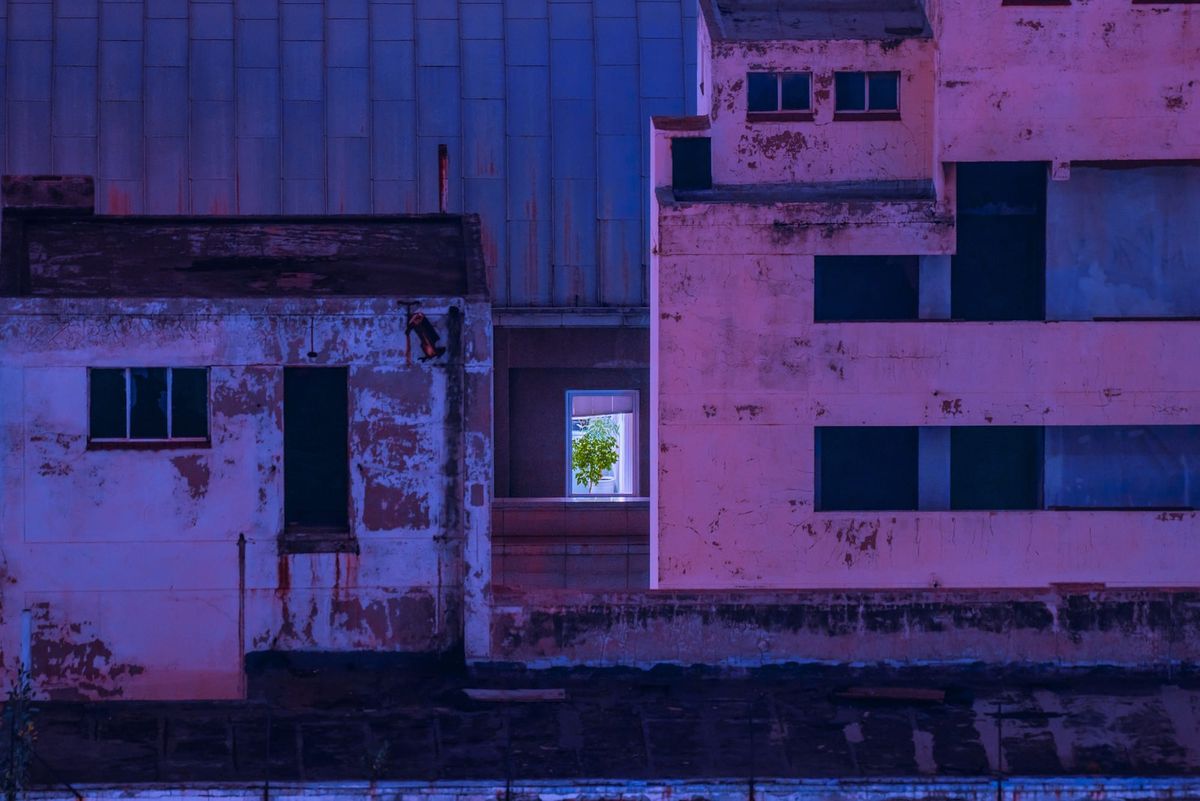 Getting  cities our of cars. Copyright horror. Intelligences. Bogost. Malaise self-care. Civic Futures. Turing.