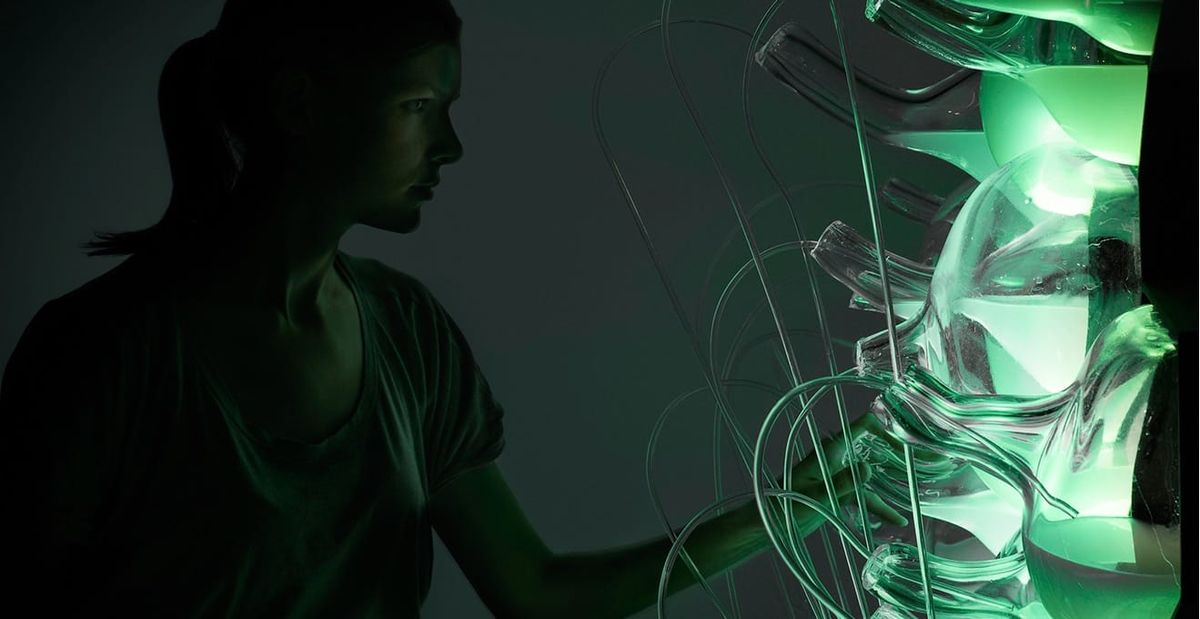 Schneier on Blockchain. AOC’s Green New Deal resolution. Three layers of identity. Purpose. VR. And a vegetative Faraday cage.