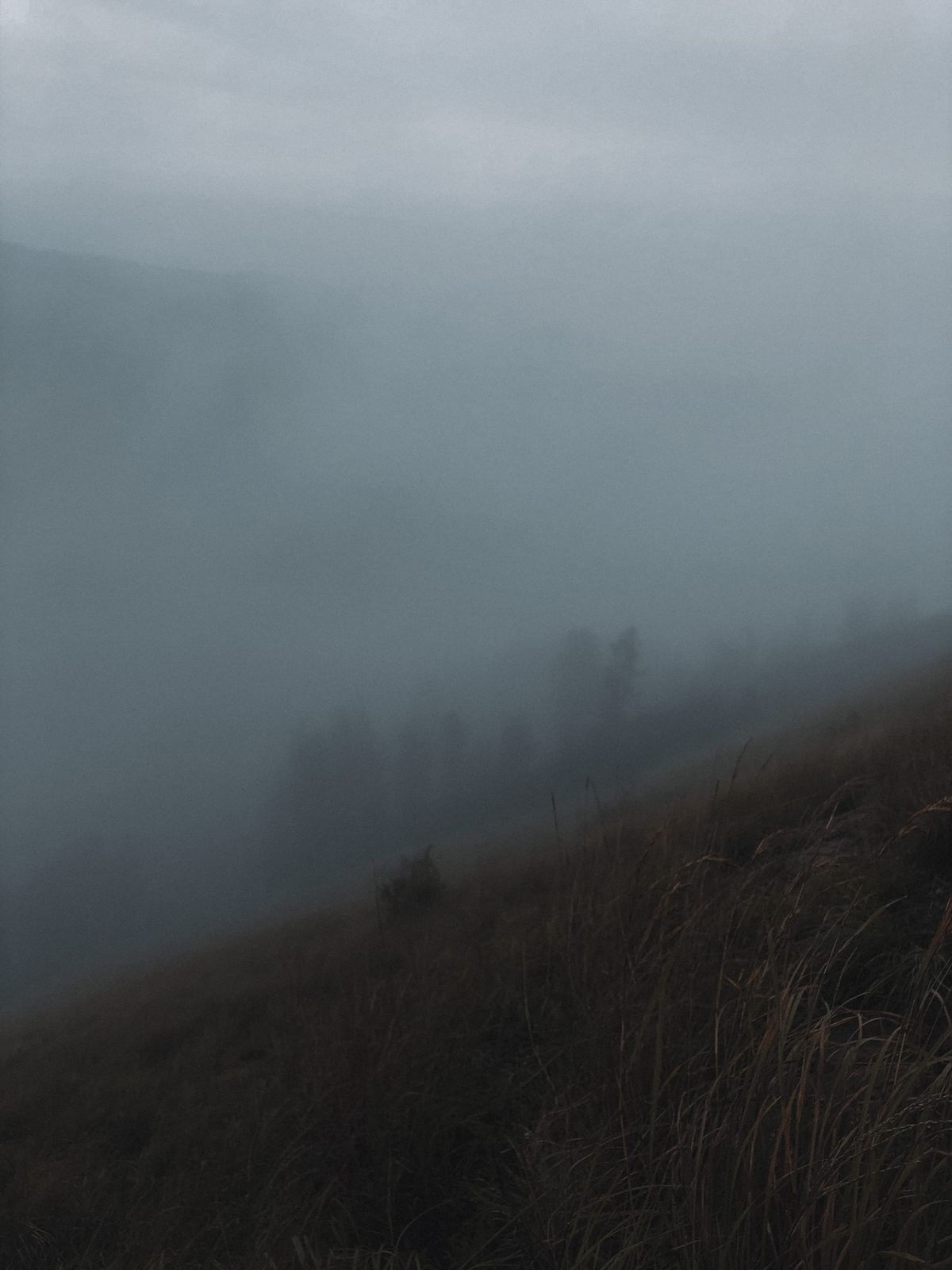 Impossible silences ⊗ Delinquent telephone activity ⊗ Under the big black sun