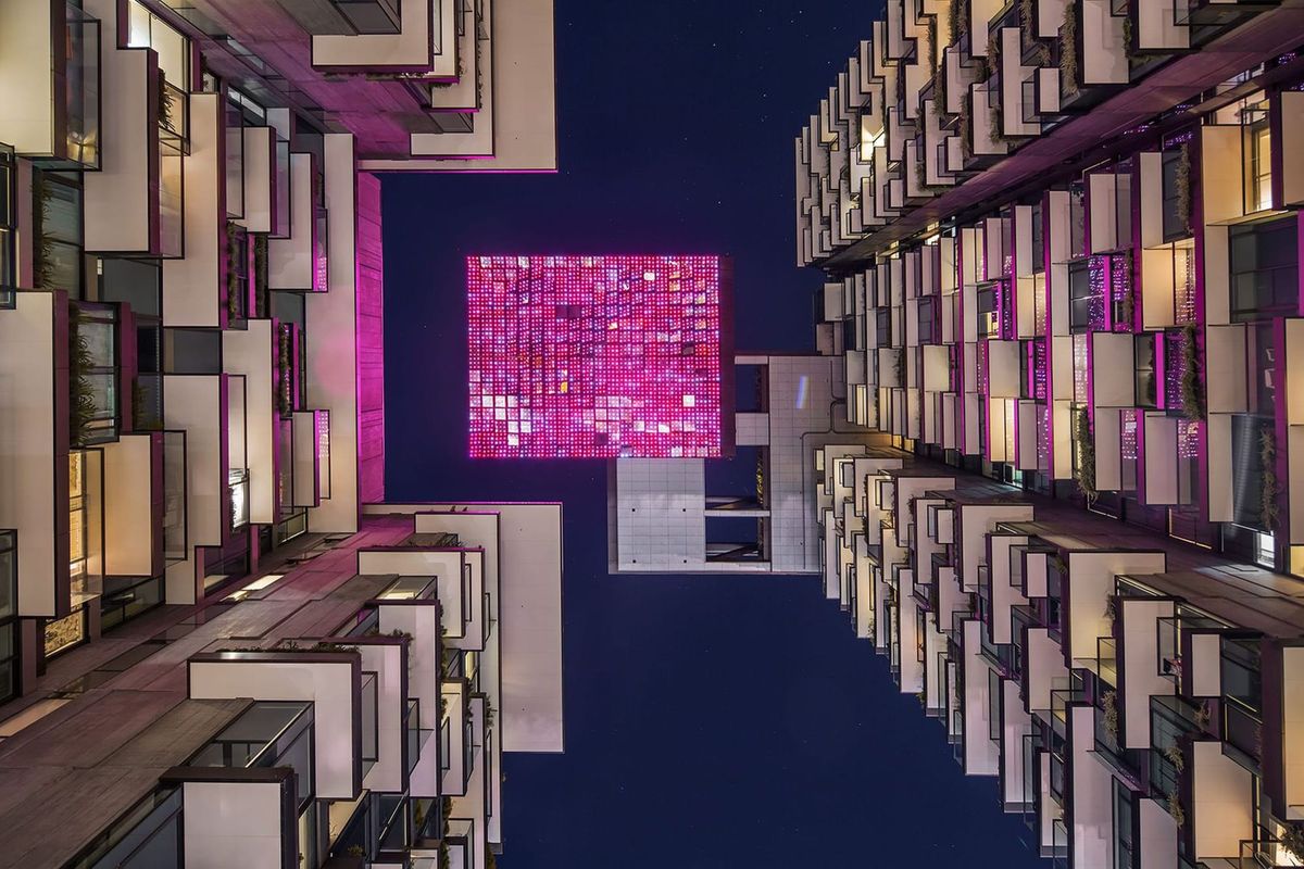 After the Big Now ⊗ The word for web is forest ⊗ Place, commerce, boundaries, and the commons